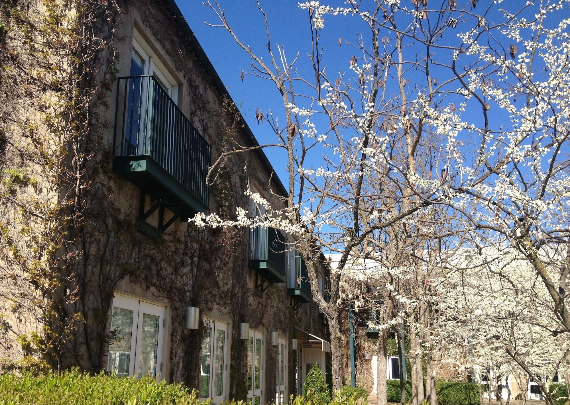 Southbridge Napa Valley เซนต์เฮเลนา ภายนอก รูปภาพ