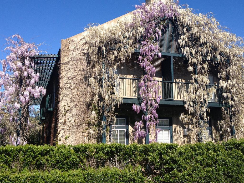 Southbridge Napa Valley เซนต์เฮเลนา ภายนอก รูปภาพ